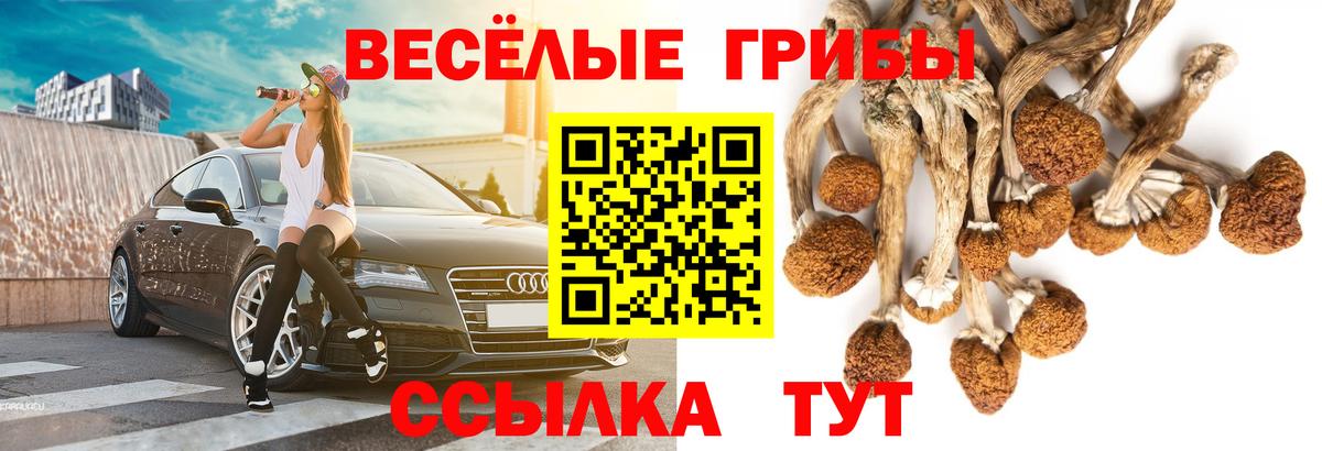 Псилоцибиновые грибы ЛСД Темрюк