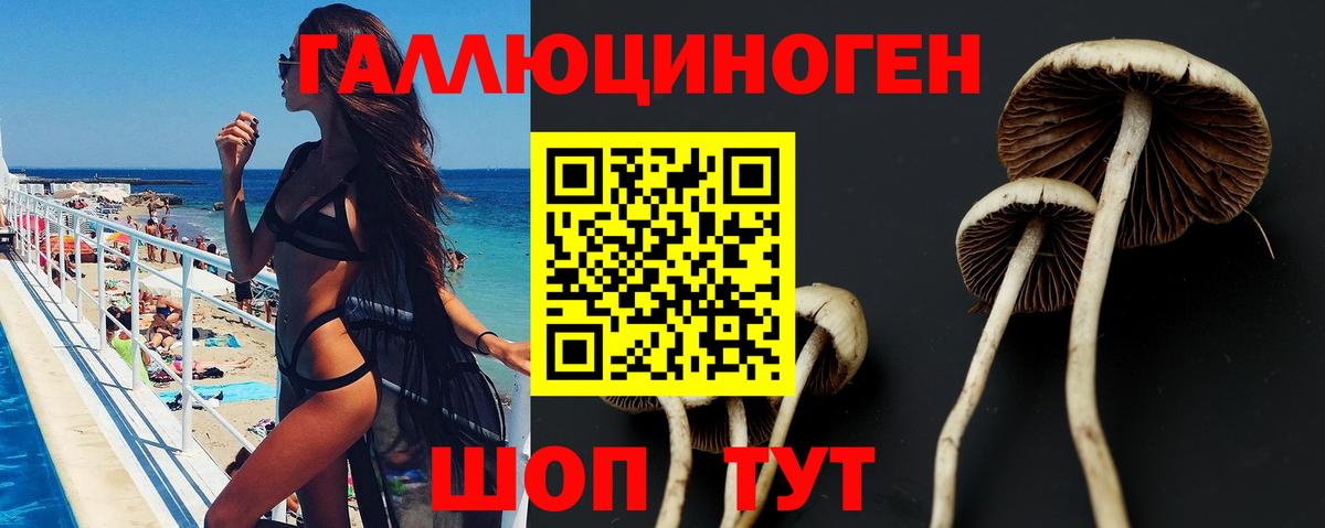 Темрюк  Псилоцибиновые грибы Psilocybe  Вход с VPN 